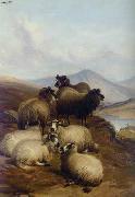 unknow artist Sheep 192 Germany oil painting artist